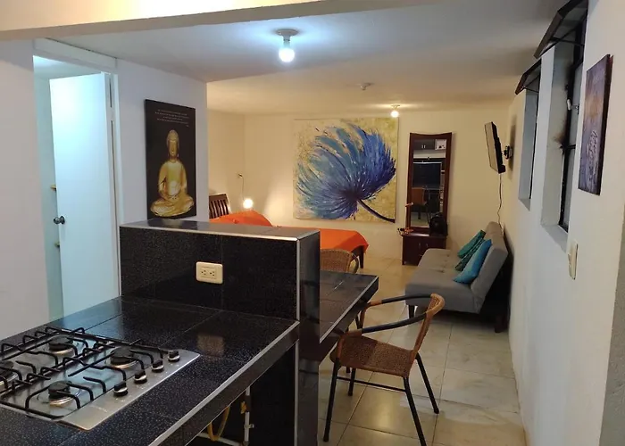 Parrot House San Antonio