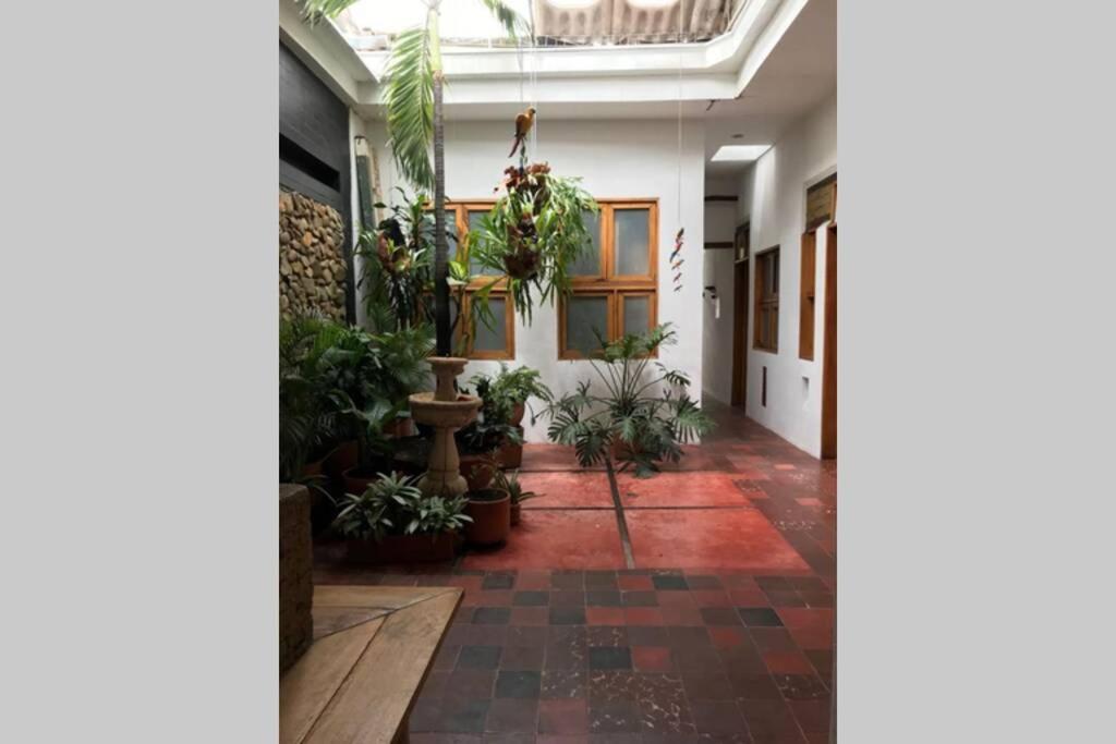 Parrot House San Antonio 公寓 *