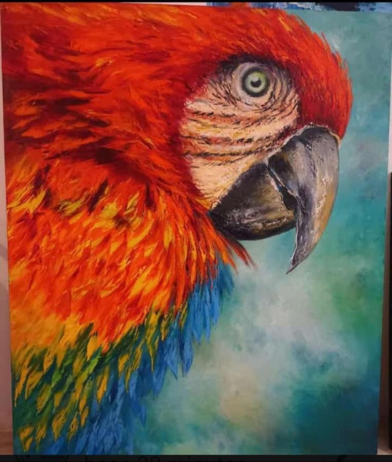 Parrot House San Antonio 公寓 *