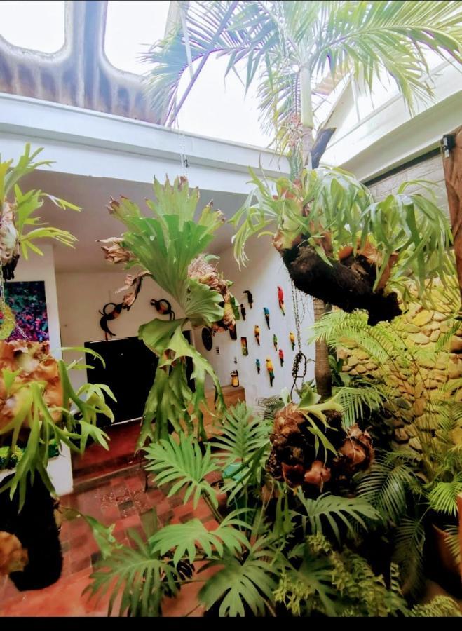 Parrot House San Antonio *