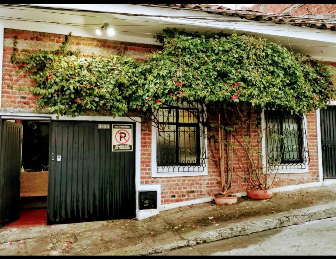Parrot House San Antonio