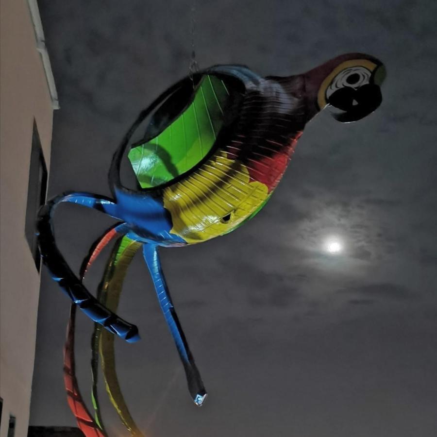 Parrot House San Antonio *