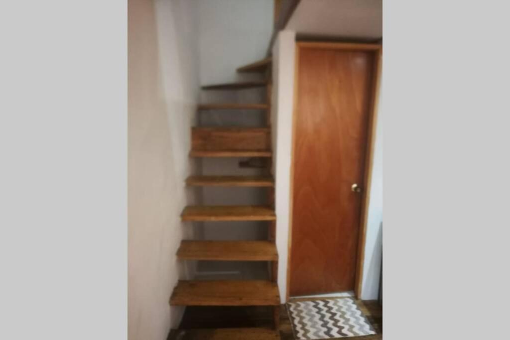 Parrot House San Antonio Apartment Cali