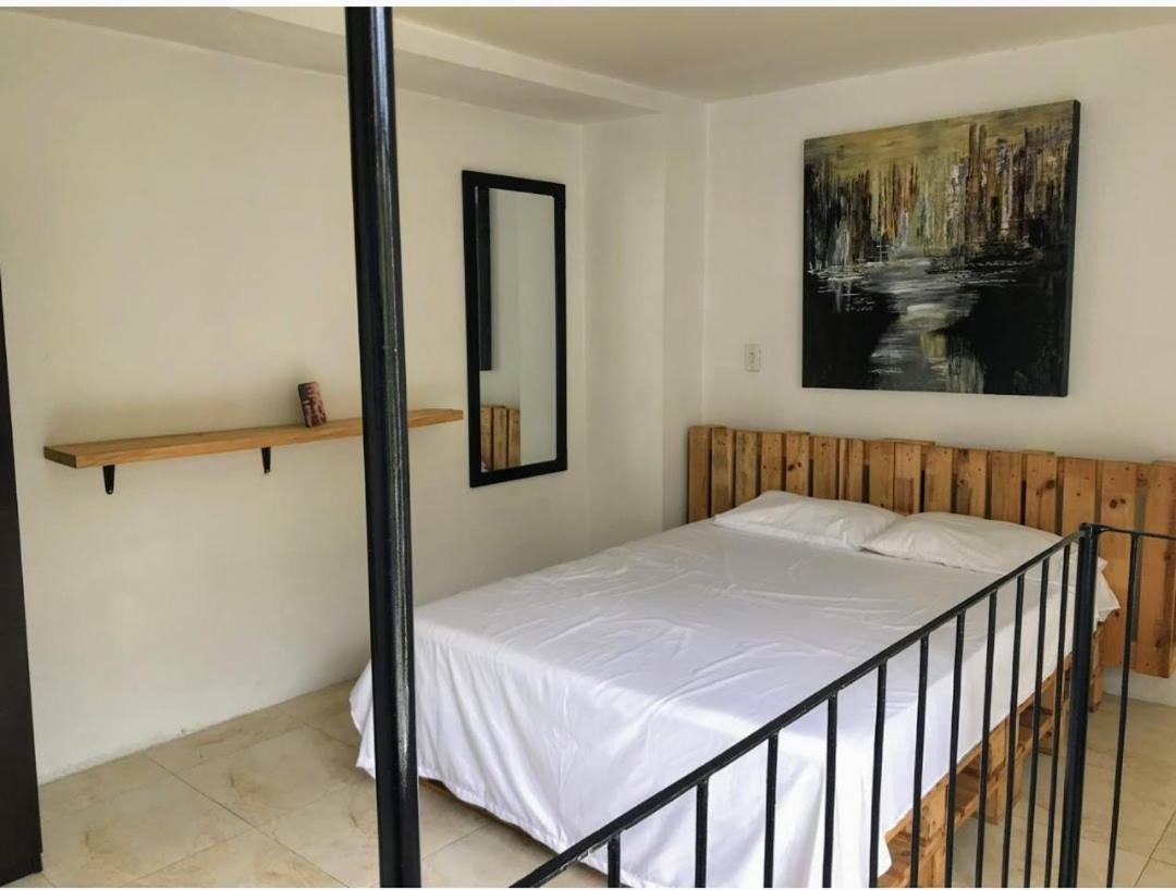 Parrot House San Antonio Apartment