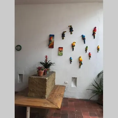 Parrot House San Antonio Apartment Cali Exterior photo