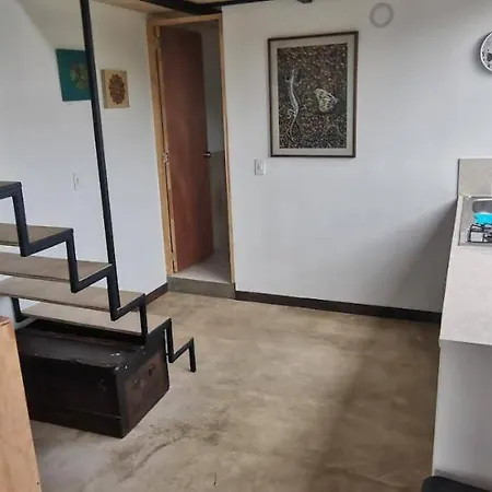 Parrot House San Antonio Apartment Cali Exterior photo