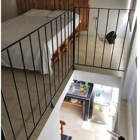 Parrot House San Antonio Apartment Cali Exterior photo