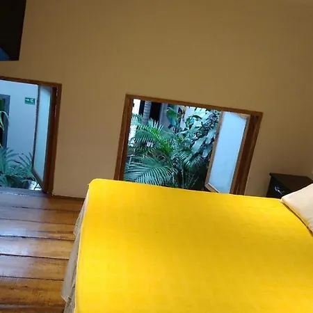 Parrot House San Antonio Apartment Cali Exterior photo
