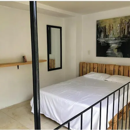 Parrot House San Antonio Apartment Cali Exterior photo