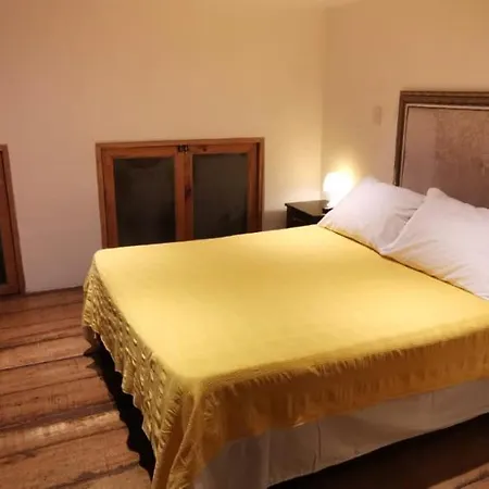 Parrot House San Antonio Apartment Cali Room photo