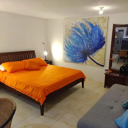 Parrot House San Antonio Apartment Cali Room photo