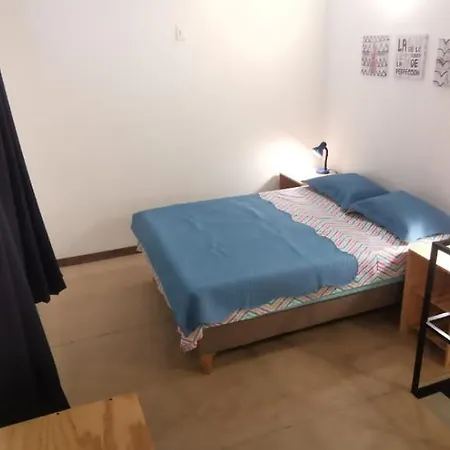 Parrot House San Antonio Apartment Cali Room photo