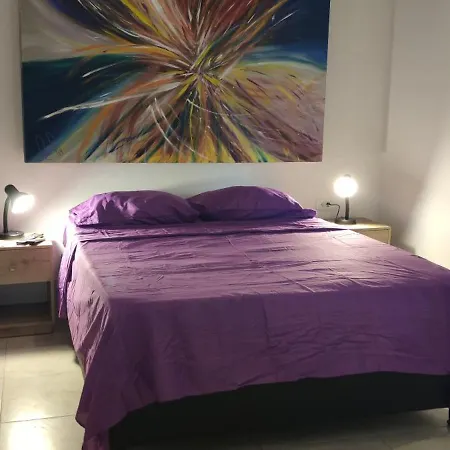 Parrot House San Antonio Apartment Cali Room photo