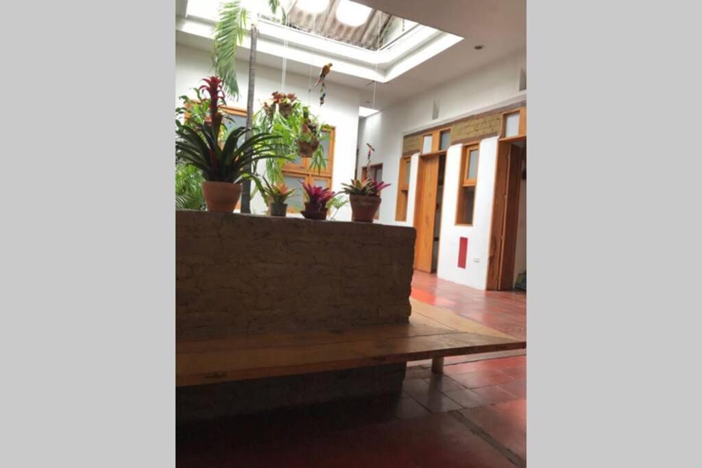 Apartment Parrot House San Antonio *